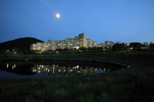済州 韓国旅行割引コード Jeju booking.com