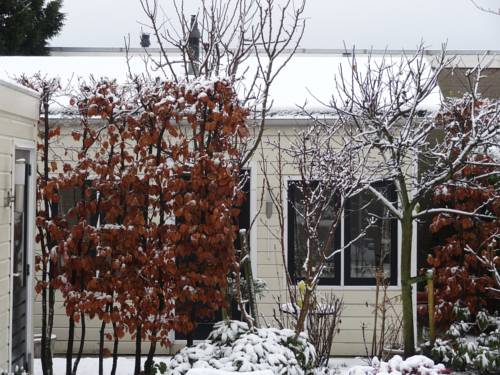 Amsterdam Olanda Codice sconto viaggio booking.com