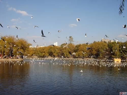 昆明 中国 Kunming 旅行折扣代码 booking.com