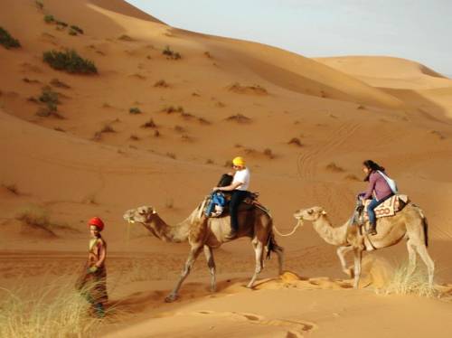 梅祖卡 摩洛哥 Merzouga 旅行折扣代码 booking.com