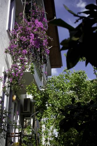 Kaş tacchino Codice sconto viaggio booking.com