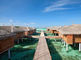 马尔代夫群岛 马尔代夫 Maldives Islands 旅行折扣代码 agoda.com