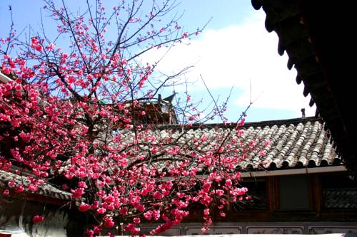 Lijiang Cina Codice sconto viaggio booking.com